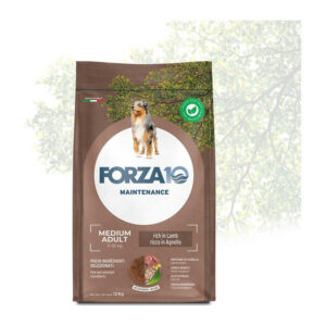 Forza10 - Dog Adult Medium Maintenance Agnello 12 Kg