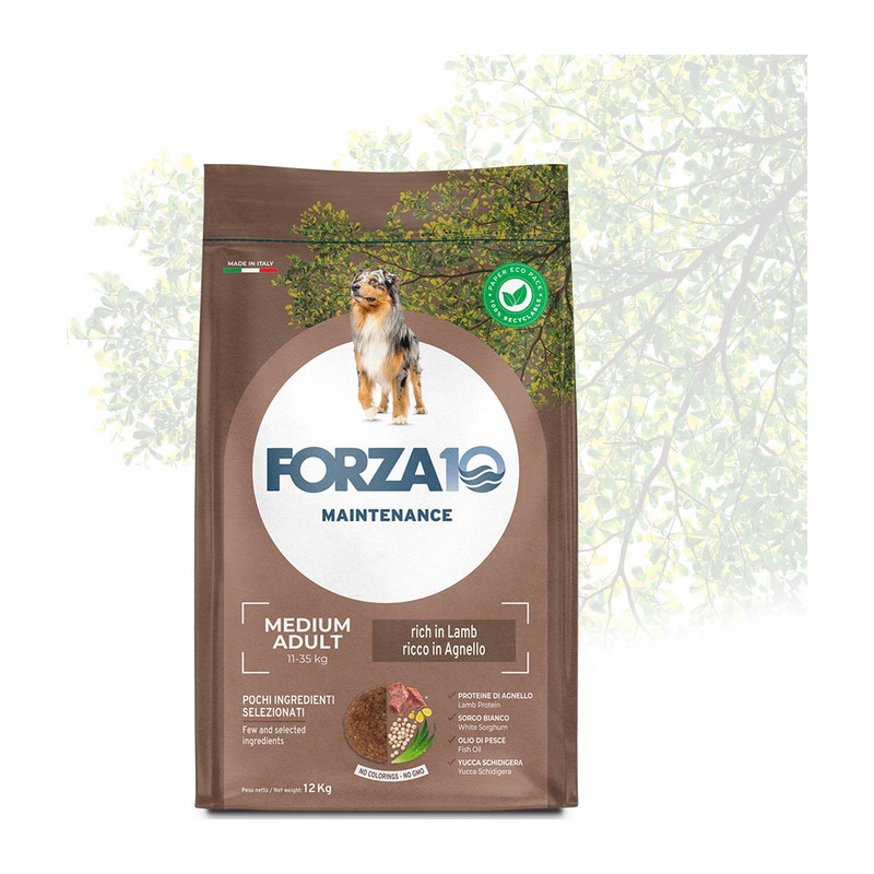 Forza10 - Dog Adult Medium Maintenance Agnello 12 Kg