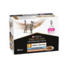 Purina - Pro Plan Veterinary Diets NF Renal Function Advanced Care al Salmone 85 g