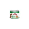 Royal Canin - Mini Adult Umido Lattina 190 g