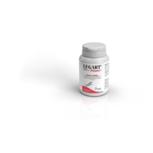 Aurora Biofarma - Legart Power Compresse