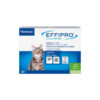 Virbac - Effipro Spot-On Gatto 50 mg 4 Fialette