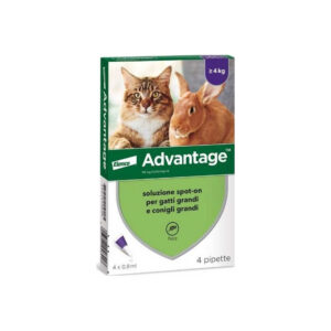 Elanco - Advantage Spot On per Gatti e Conigli >4 Kg 80 Mg 4 Pipette