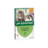 Elanco - Advantage Spot On per Gatti e Conigli <4 Kg 40 Mg 4 Pipette