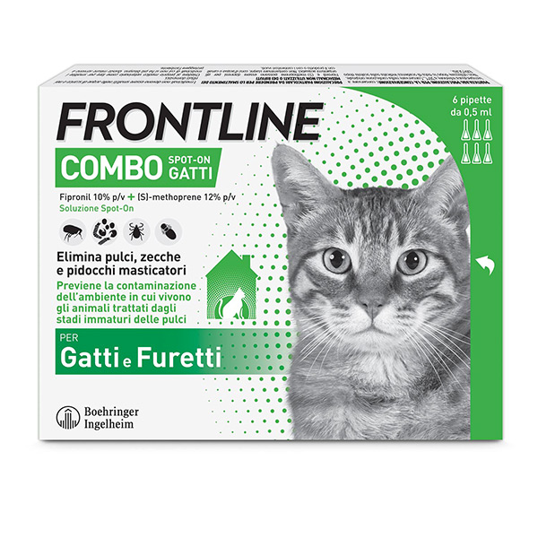 Frontline Combo Gatti 6 Pipette