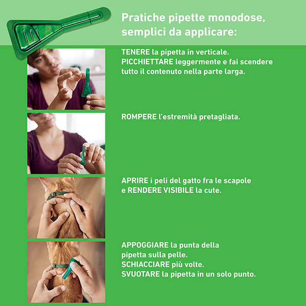 Boehringer Ingelheim - Frontline Combo per Gatti e Furetti - immagine 2