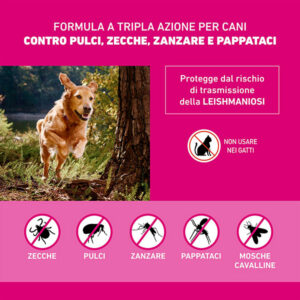 Alternative view of Boehringer Ingelheim - Frontline Tri-Act Cani 10-20 Kg 2 ml
