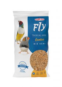 Raggio di Sole - Esotici Fly Hobby