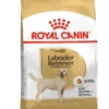 Royal Canin - Labrador Retriever Adult