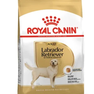 Royal Canin - Labrador Retriever Adult