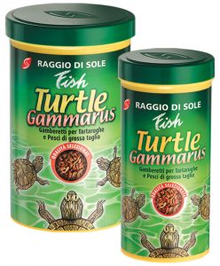 Raggio di Sole - Fish Turtle Gammarus