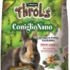 Raggio di Sole - Throls Coniglio Nano
