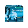 Candioli - Gastrocure Pasta 24 x 50 ml