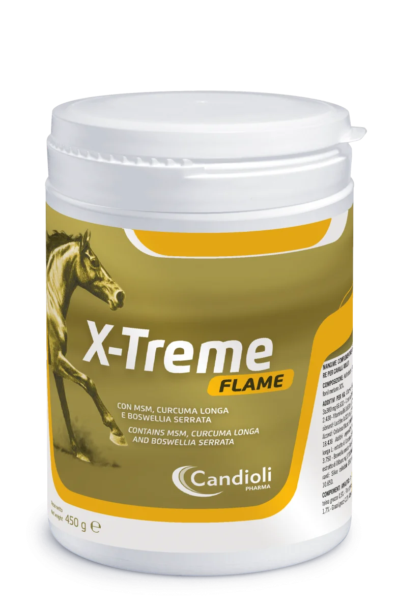 Candioli - X-Treme Flame 450 g