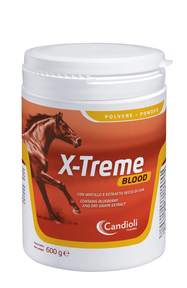 Candioli - X-Treme Blood 600 g