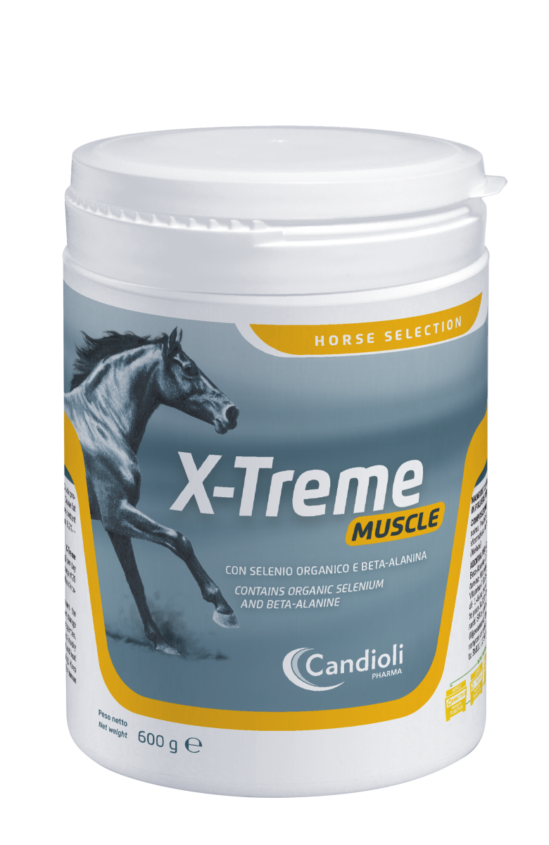 Candioli - X-Treme Muscle 600 g