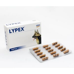 Vet Bros - Lypex 60 Capsule